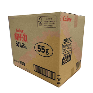 ポテトチップス カルビー うすしお味 55g×16袋 (BG026)