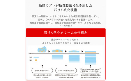 プロ・業務用 手肌の荒れを防ぐハンドクリームN　3個セット ANV0004