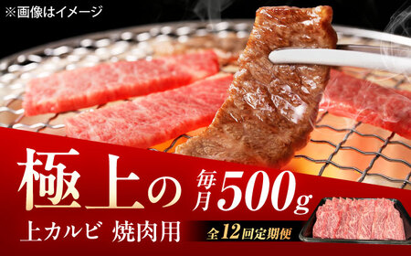 【12回定期便】佐賀牛 上カルビ 焼肉用 500g /MKミート武雄[UEM052] カルビ焼肉