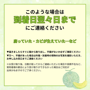 【2026年9月中旬発送開始】 マスクメロン 1玉 メロン フルーツ ギフト 果物 夏 季節限定 甘い おいしい 贈り物 お取り寄せ 産地直送 新鮮 熟成 国産 スイーツ デザート ジューシー 贈答用 プレゼント 人気 お中元 数量限定 先行予約 新発田ファーム 新潟県 新発田市 shibatafarm005