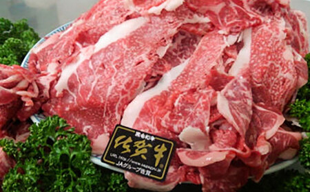 佐賀牛 切り落とし 2kg（500g×4P） / 佐賀県 / 織田精肉店 [41ADAB008]
