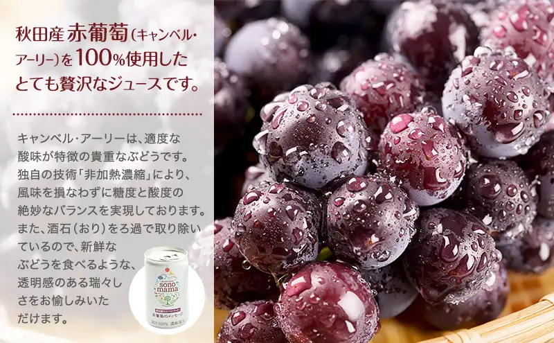 《 定期便 3ヵ月 》 赤葡萄ジュース「sonomama」（160g×5本）×2箱 ぶどう ブドウ ジュース ぶどうジュース 飲料
