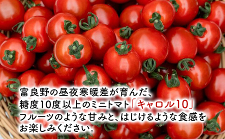 【2026年7月発送】富良野産 採れたて直送! ミニトマト キャロル10 【約2kg】 (清水farm) トマト ミニトマト とまと 野菜 新鮮 甘い 季節限定 北海道 富良野 ふらの