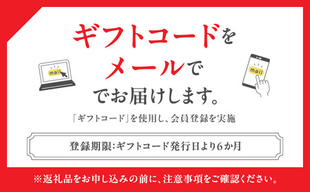 【六本木ヒルズ】森美術館年間パスポート　（森美術館メンバーシップ　フェロー入会） │ 東京 美術館 チケット