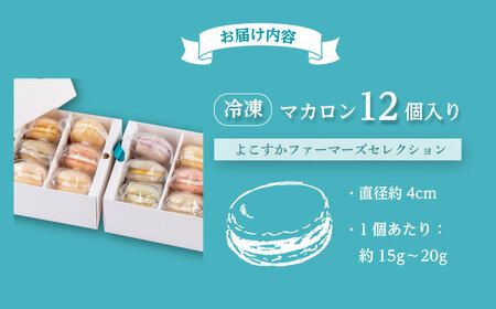 マカロン12個セット[AKGS002]マカロン