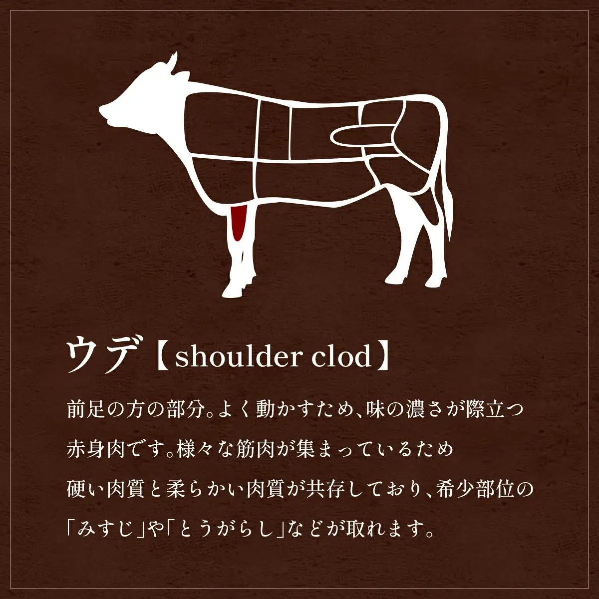 【和牛セレブ】能登牛 牛肩(うで)  400g　wa111　すき焼き