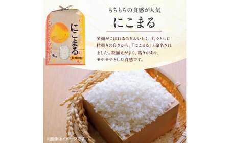 【令和7年産米】樽井商店の仁井田米 ３種のお米味くらべセット 15kg（5kg×3）Bti-Z04 米 ヒノヒカリ にこまる 高知 食べ比べ
