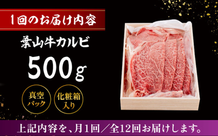 【全12回定期便】 葉山牛 カルビ500g／ カルビ[ASAP040]