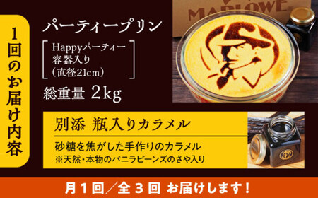 【全3回定期便】極上のパーティープリン  ／ お菓子・スイーツ プリン[ASAY025]