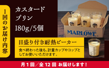 【全12回定期便】昔ながらのカスタードプリン5個セット  ／ お菓子・スイーツ プリン[ASAY036]