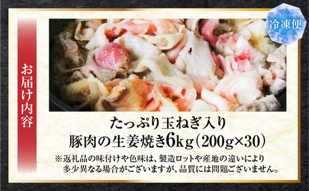 たっぷり玉ねぎ入り豚肉の生姜焼き 6kg |肉 豚肉 冷凍 小分け 時短 時短調理 簡単 料理 たっぷり 生姜焼き たまねぎ しょうが ジューシー 弁当 おかず 香川県 三木町 おすすめ |_mk146-271-04