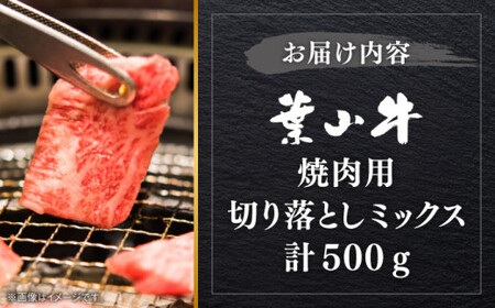 葉山牛 500g　焼肉用ミックス ／ 焼肉 [ASBD012]