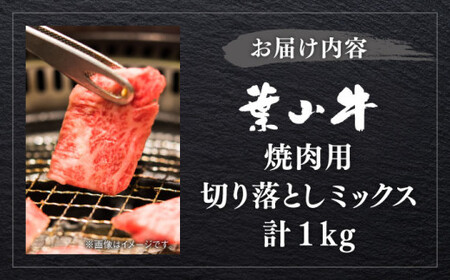 葉山牛 1kg　焼肉用ミックス  ／ 焼肉   [ASBD013]