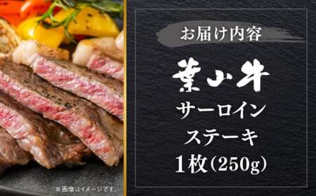 葉山牛 サーロインステーキ 250g×1枚 サーロイン [ASBD016]