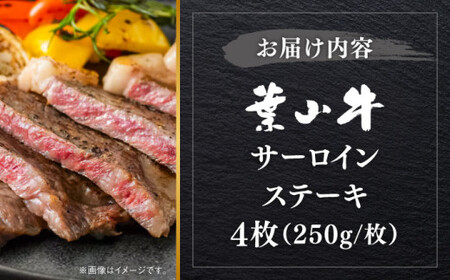 葉山牛 1kg　サーロインステーキ／ サーロイン  [ASBD018]