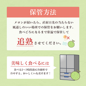5月上旬～発送【不揃い訳ありクインシーメロン 1玉】＼上品な甘さとジューシーな食感！／茨城県鉾田市産 クインシーメロン めろん 1玉｜先行予約 赤肉 産地直送 追熟 国産 フルーツ 果物 ご自宅用 おすすめ 人気 内山農園