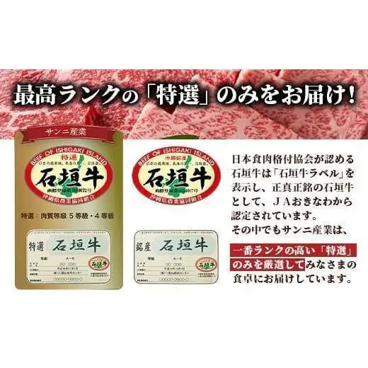 石垣牛 ハンバーグ セット (100g×10個)＜2026年5月発送＞ | 国産 石垣牛100% 沖縄 石垣島産 高級 黒毛和牛 ビーフ ハンバーグセット