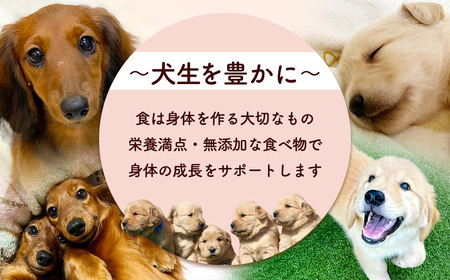 ＜小分け＞犬用おやつ かぼちゃチキン (15g×14袋・計210g) ふるさと納税 福知山市 国産 京都府産 無添加 鶏肉 むね肉 かぼちゃ ドッグフード ペットフード 愛犬 手作り 福知山 丹波 【fc-BK041】【三栄ブロイラー販売株式会社 福知山工場】
