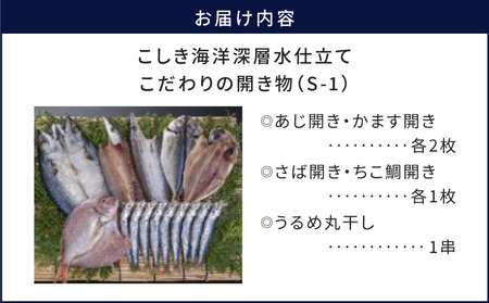 こしき海洋深層水 仕立て こだわりの 開き物 S-1 K065-007_01 魚 冷凍