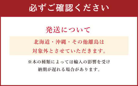 〈選べる〉coffee table Tino Low（コーヒーテーブル　ティノ　ロー） Nature (ナチュール) / Cheri (チェリ) 　※北海道・沖縄・離島への配送不可 ｜ 木製 ミニ テーブル 手作り 小ぶり 愛知県 幸田町 送料無料