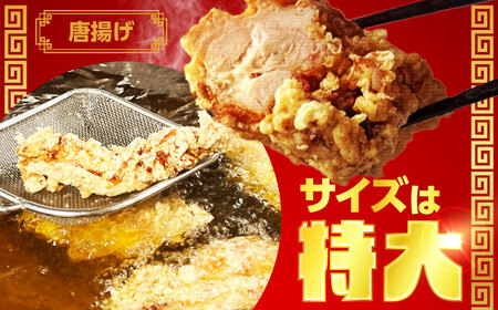 加登屋の町中華 4種セット 4人前 餃子 春巻 からあげ もつ煮【加登屋食堂】名物 冷凍 おすすめ[MGQ004]