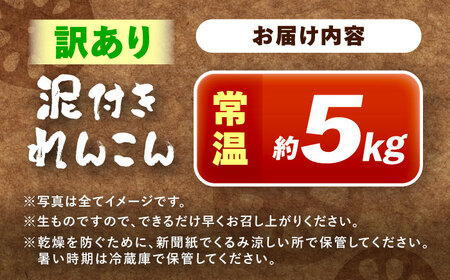 訳あり れんこん 5kg （常温）【配達不可：北海道・沖縄・離島】 / JAあいち海部れんこんセンター[AEDK001]