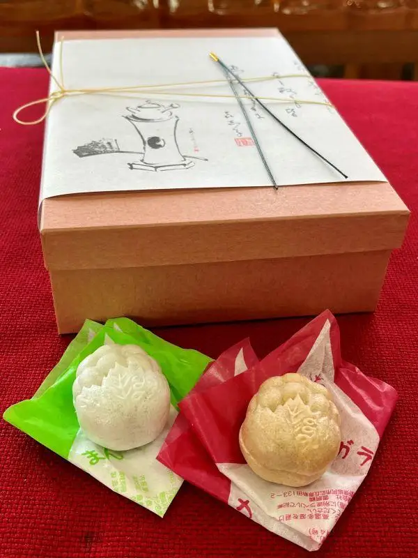 ナイヤガラろまん 10個入り×2箱 