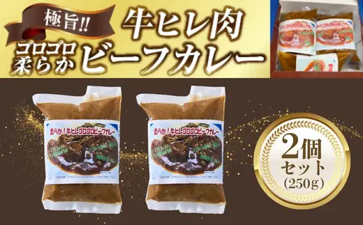 極旨！柔らか牛ヒレ肉ゴロゴロ贅沢ビーフカレー2食セット