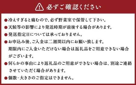 美咲しょうが 1kg ／ 生姜 しょうが ジンジャー
