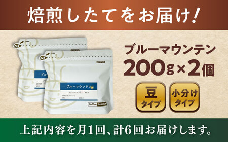 【全6回定期便】ブルーマウンテンNo.1　コーヒー豆　200g×2個(豆)  / コーヒー  ドリップ  豆 / Coffee SAKURA[BBAB031]