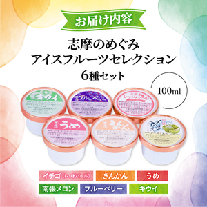 アイス 6個×100ml 詰め合わせセット 旬の果実 | アイスクリーム