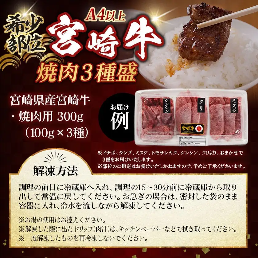 牛肉好き必見!宮崎牛希少部位の焼肉☆お楽しみ3種盛(100g×3種)〔14-J702〕_(都城市) 宮崎県産 宮崎牛 希少部位イチボ ランプ ミスジ トモサンカク シンシン クリ から厳選 100g×3種 焼肉用