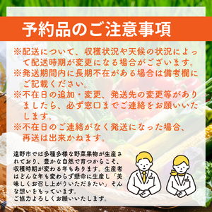 【先行予約】松陽園 樹上完熟 りんご ジョナゴールド 3kg【2026年10月中旬頃から順次発送】 農家直送