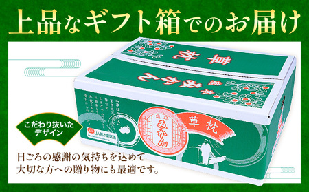草枕みかん 約4kg 《11月上旬-12月上旬頃出荷》熊本県 荒尾市 フルーツ 柑橘 みかん ミカン 草枕 デザート 送料無料