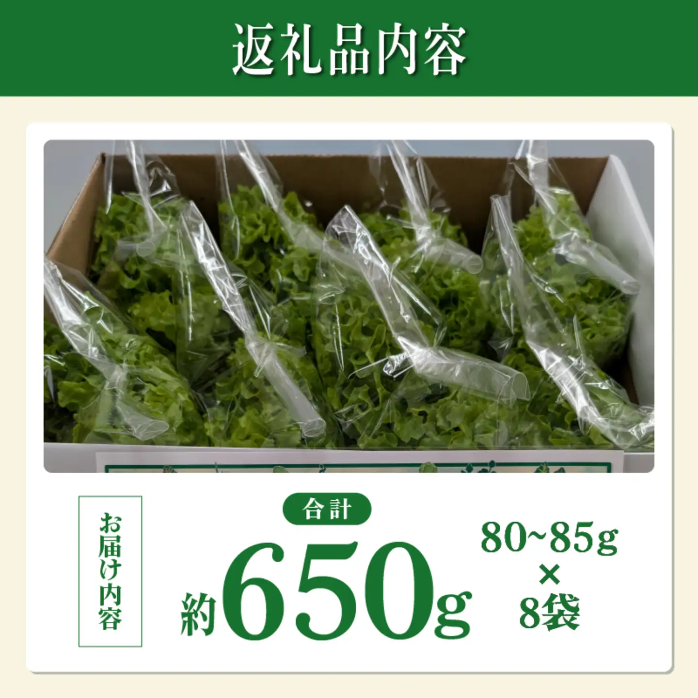 採れたてフレッシュな無農薬リーフレタス 8個入り