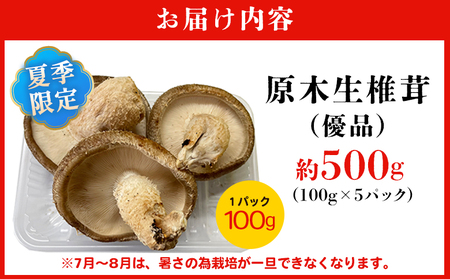 ＜夏季限定 原木生しいたけ（優品） 100g×5パック＞『2026年5月～10月に順次出荷予定』 合計500g 数量限定 期間限定 夏採れ 原木生椎茸 しいたけ シイタケ きのこ 優品 バーベキュー BBQ 料理 国産 愛媛県産 横林自治振興協議会 愛媛県 西予市【冷蔵】 NYJ0007