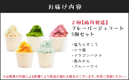 【 全2回 定期便 】 花火大会 応援 ！島の人気店、島の 特産品 とパワーをジェラートに！島の特産品を活かした フレーバー！ ジェラート 5個 セット C073-T01 菓子 お菓子 スイーツ 花火