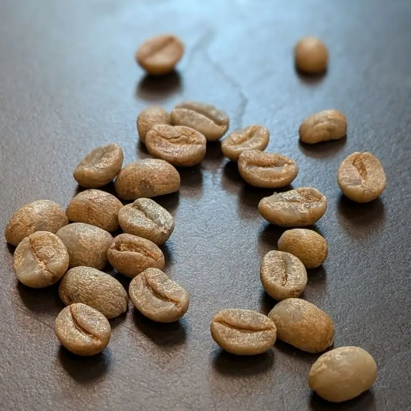 ASIA×BEANS!アジアの旅コーヒー・焼菓子ギフト（タイ編）豆の挽き方：粗挽き【hisa0002】