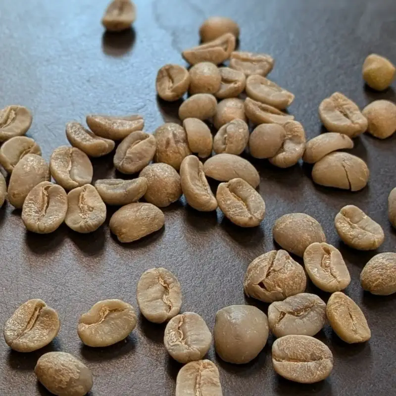 ASIA×BEANS!アジアの旅コーヒー・焼菓子ギフト（ラオス編）豆の挽き方：細挽き【hisa0009】
