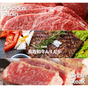鳥取和牛 サーロインブロック 3kg