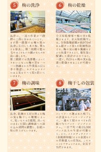 梅干し 新登場！200g はちみつ梅干し【khs123】