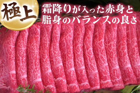 佐賀牛 すきやき用1200g・柔らかハンバーグ12個(H122110)