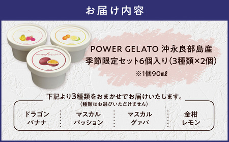 POWER gELATO 沖永良部島産（ 季節限定 セット 6個入り ） W066-002-01 冷凍 スイーツ