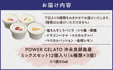 POWER gELATO 沖永良部島産（ ミックス セット 12個入り ） W066-003-02 冷凍 スイーツ