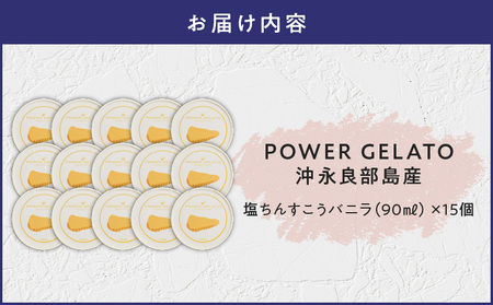 POWER gELATO 沖永良部島産（ 塩ちんすこうバニラ ）90ml × 15個入り W066-004-03 冷凍 スイーツ