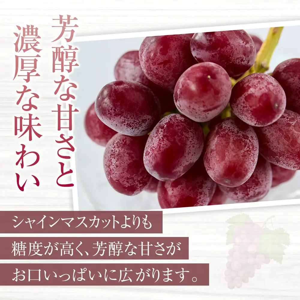 【先行予約】2026  クイーンルージュ®　【訳あり粒抜け】　複数房　約1kg弱【10月初旬頃～順次発送予定】　長野県産　国際特許有機肥料栽培　