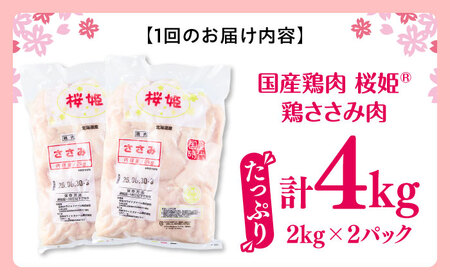 【全3回定期便】桜姫 ささみ 計4kg（2kg×2パック）【東日本フード株式会社】 国産 鶏 とり肉 ささみ ササミ 冷凍 北海道 [AXBM073]