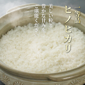 令和7年産 ヒノヒカリ 5kg 白米 宇治 ごはん 白米 お米 米 コメ こめ はくまい 宇治 ごはん ひのひかり 一等品 京都府産 京都 京都府 ふるさと納税米 数量限定