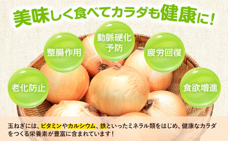 玉ねぎ つなぎコハク玉ねぎ 約10kg《4月中旬-5月中旬出荷》熊本県 葦北郡 津奈木町 つなぎ琥珀玉ねぎプロジェクト 野菜 たまねぎ