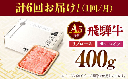 【6回定期便】飛騨牛サーロイン・リブロース 400g×1パック すき焼きしゃぶしゃぶ用肉 [AVBO022]